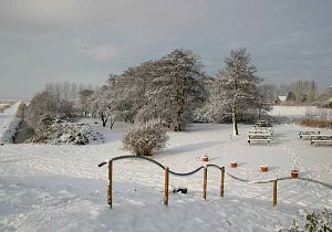 Winters wandelen plus wild  eten op Tiengemeten