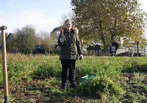 De Ark en Cavent starten samenwerking