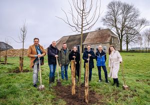 Hoeksche Waard krijgt groene impuls met duizenden bomen en struiken